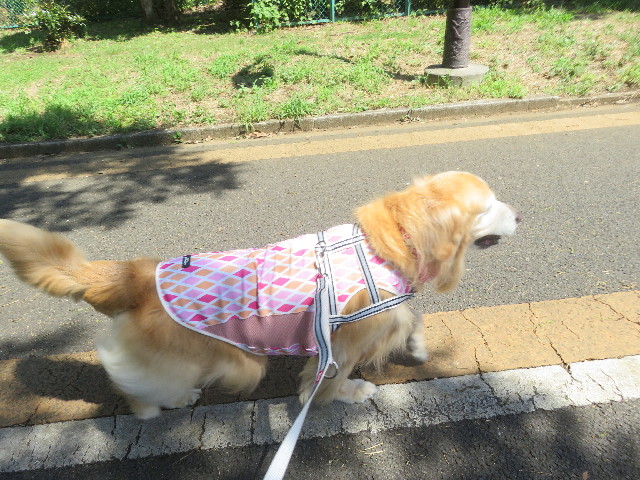 ファイル 5878-5.jpg