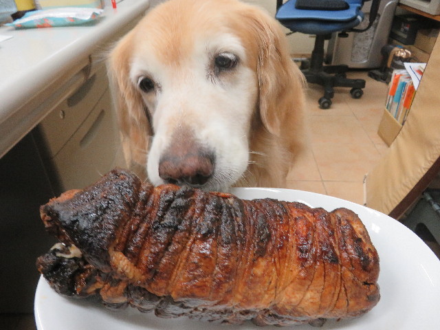 ファイル 5879-1.jpg