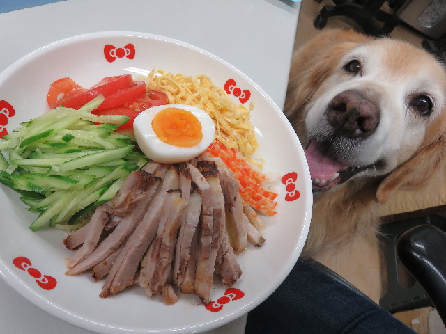 ファイル 5879-3.jpg