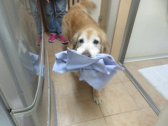 ファイル 5879-5.jpg