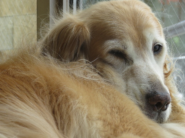 ファイル 5881-2.jpg