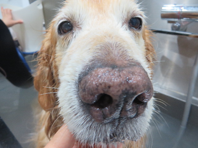 ファイル 5885-5.jpg