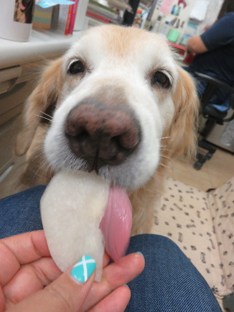 ファイル 5887-5.jpg