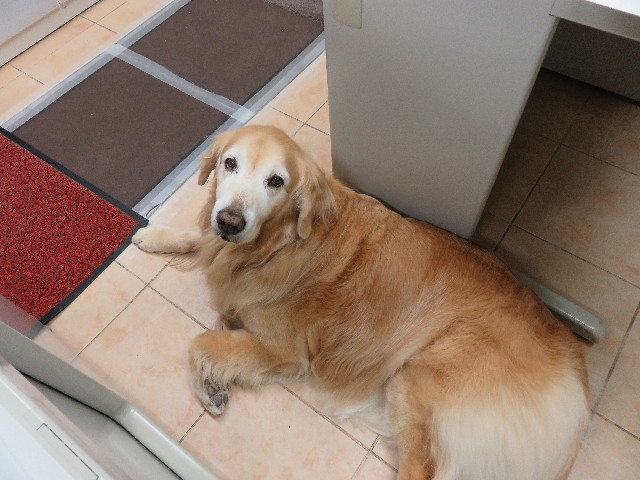 ファイル 5888-2.jpg