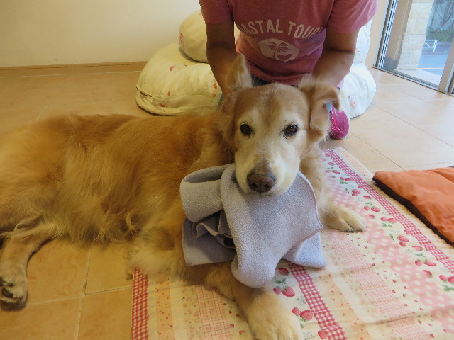 ファイル 5888-3.jpg