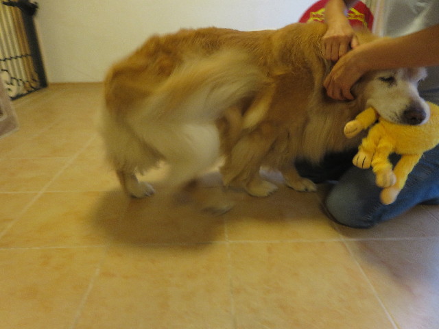 ファイル 5889-3.jpg