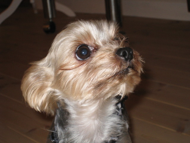 ファイル 589-3.jpg