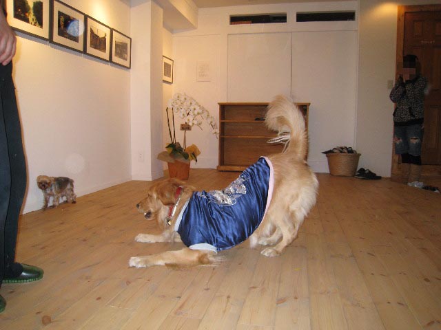 ファイル 589-4.jpg