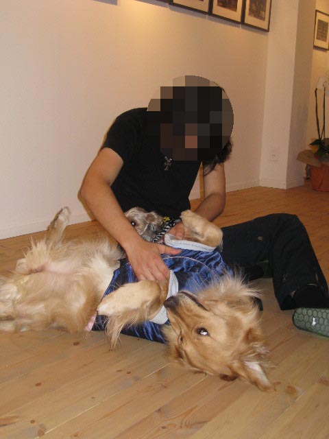 ファイル 589-5.jpg