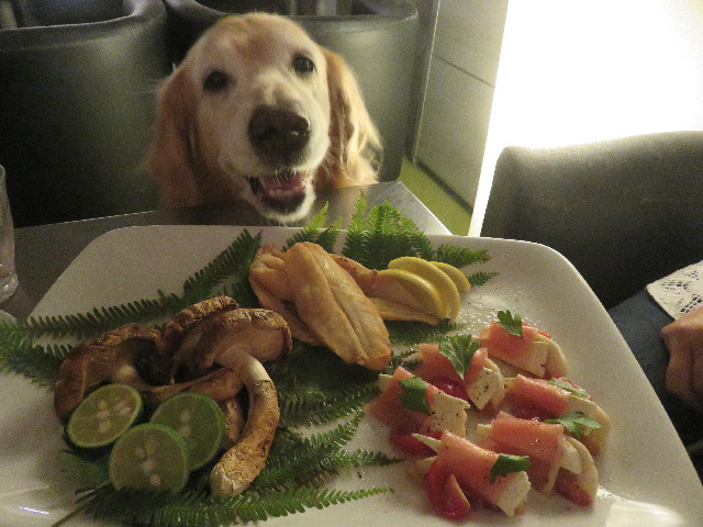 ファイル 5891-3.jpg