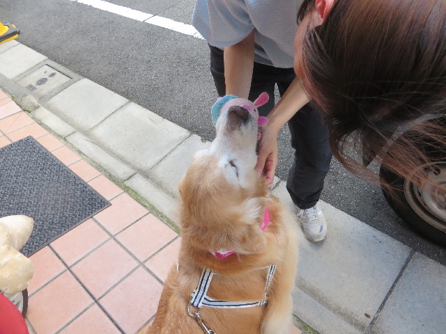 ファイル 5892-1.jpg