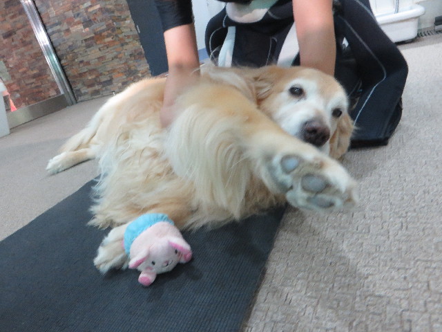 ファイル 5892-2.jpg