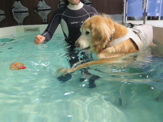 ファイル 5892-3.jpg