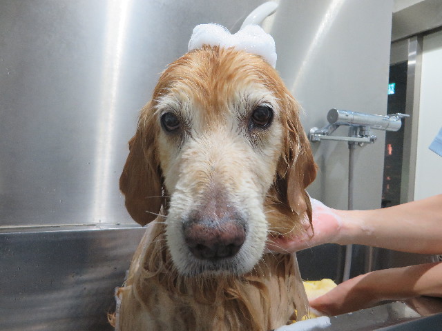 ファイル 5892-5.jpg