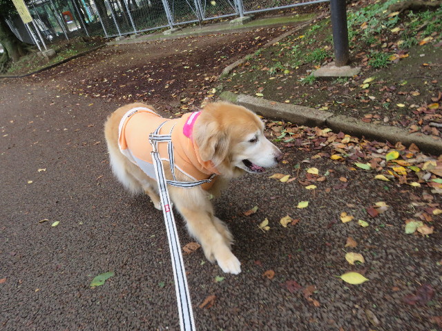 ファイル 5895-1.jpg