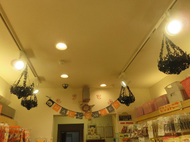 ファイル 5896-4.jpg