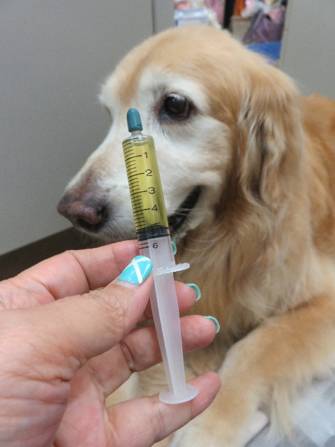 ファイル 5899-5.jpg