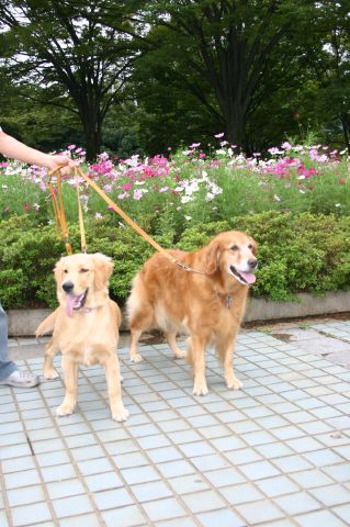 ファイル 59-2.jpg