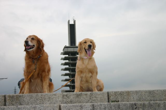 ファイル 59-4.jpg