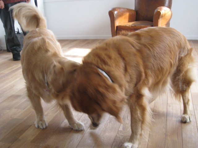 ファイル 590-5.jpg