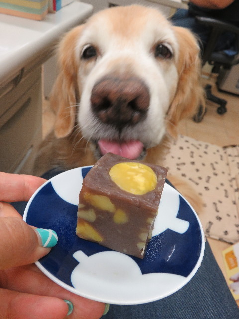 ファイル 5904-5.jpg