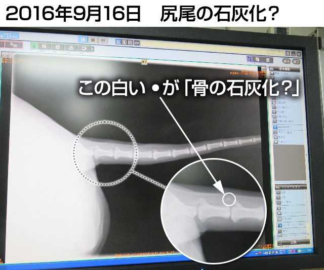 ファイル 5905-4.jpg