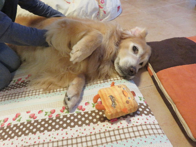 ファイル 5906-2.jpg