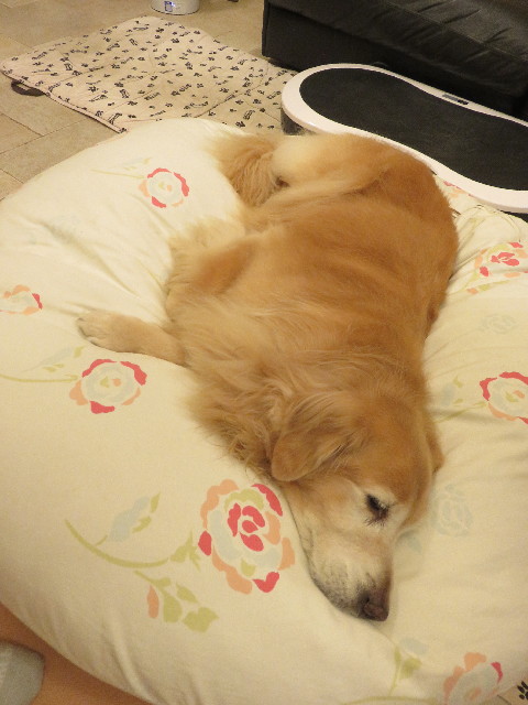 ファイル 5906-3.jpg