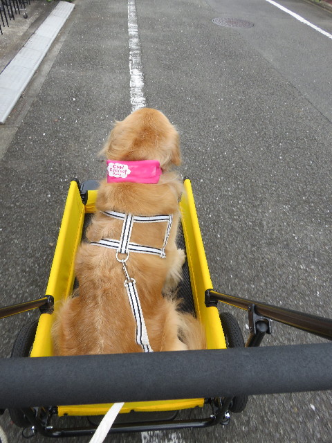 ファイル 5906-4.jpg