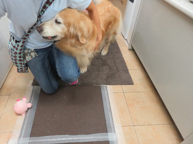 ファイル 5906-5.jpg