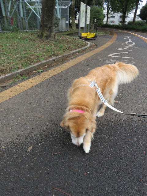 ファイル 5908-3.jpg