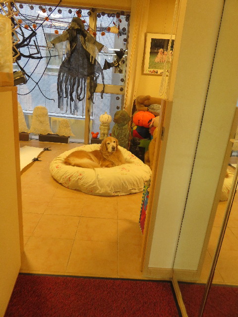 ファイル 5909-5.jpg