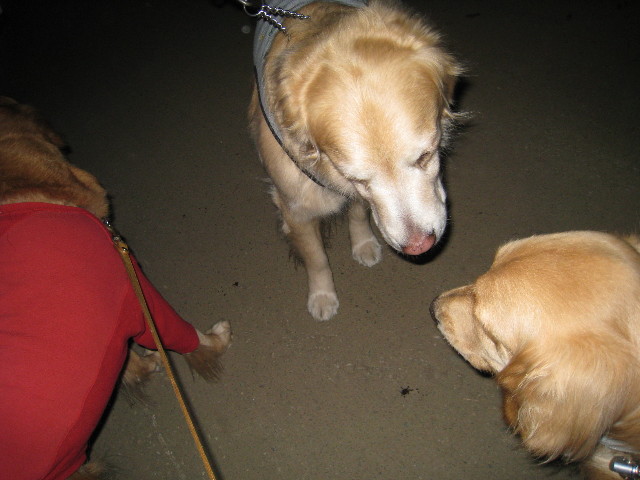 ファイル 591-4.jpg