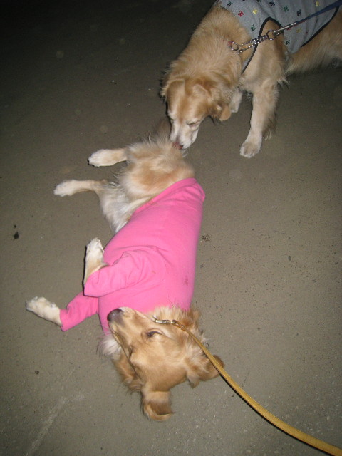 ファイル 591-5.jpg