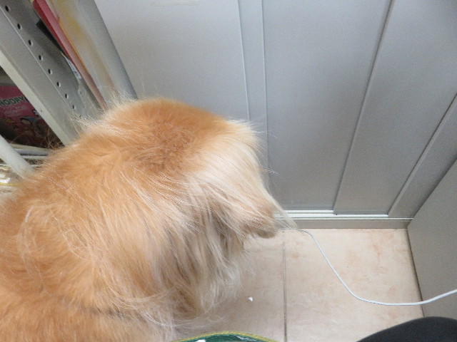 ファイル 5910-1.jpg