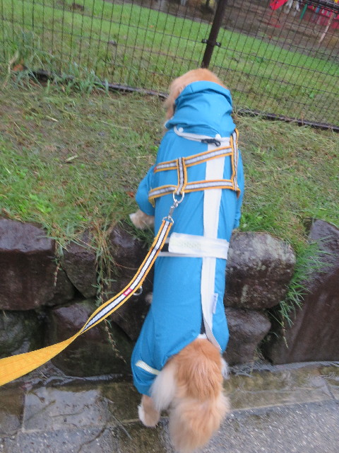 ファイル 5911-2.jpg