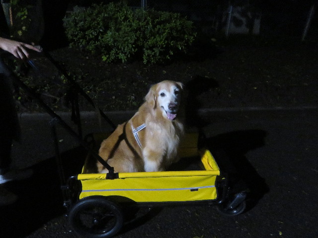 ファイル 5914-1.jpg