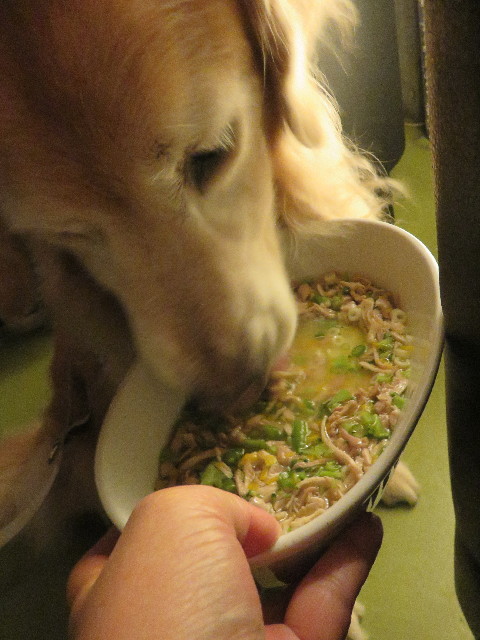 ファイル 5914-2.jpg