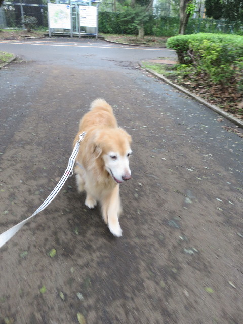 ファイル 5914-4.jpg