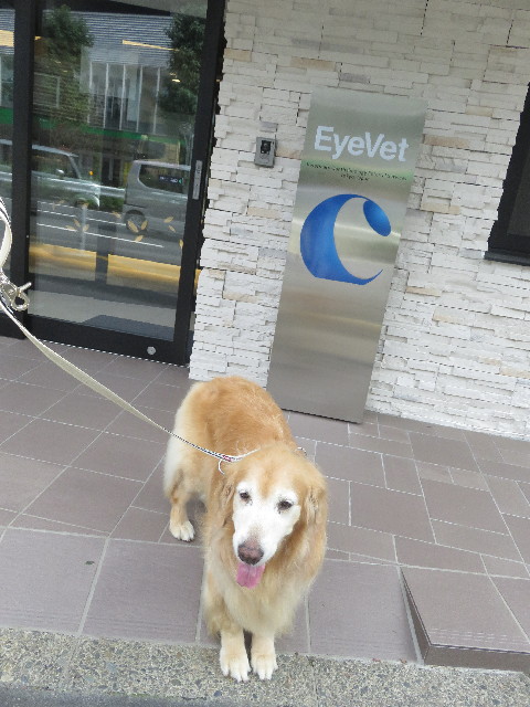 ファイル 5921-1.jpg