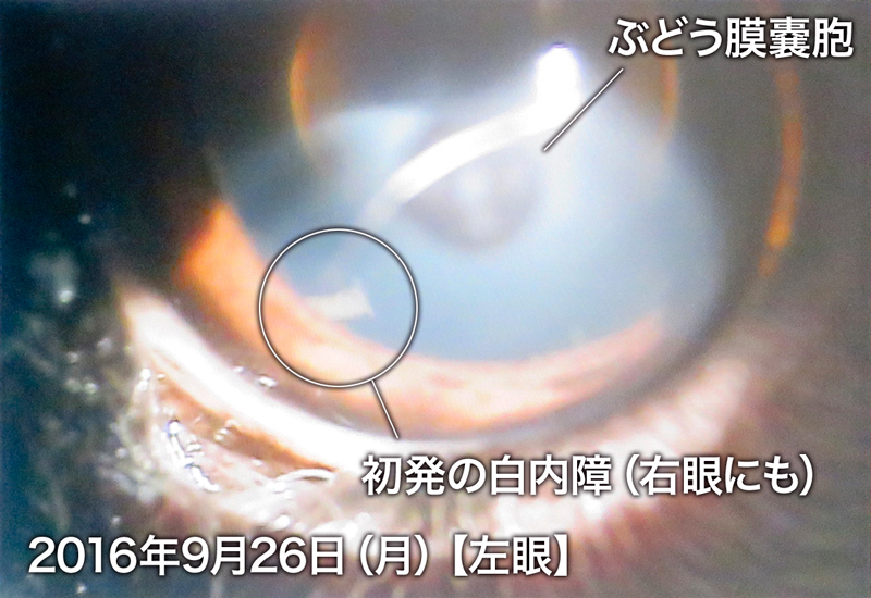 ファイル 5921-4.jpg