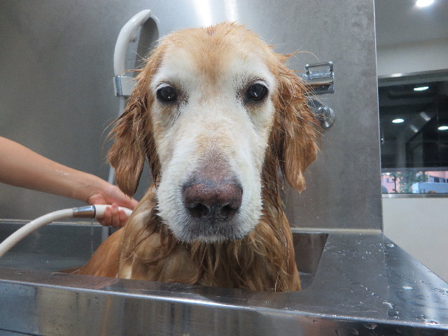 ファイル 5922-4.jpg