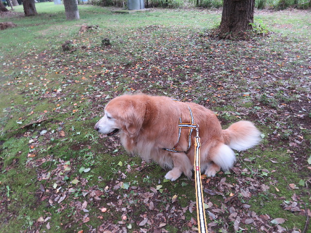 ファイル 5923-3.jpg