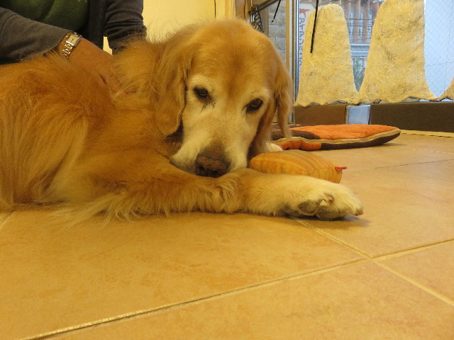 ファイル 5925-5.jpg