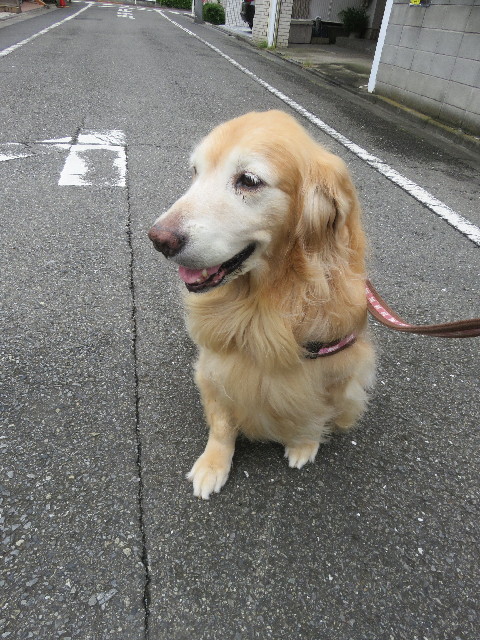 ファイル 5926-2.jpg