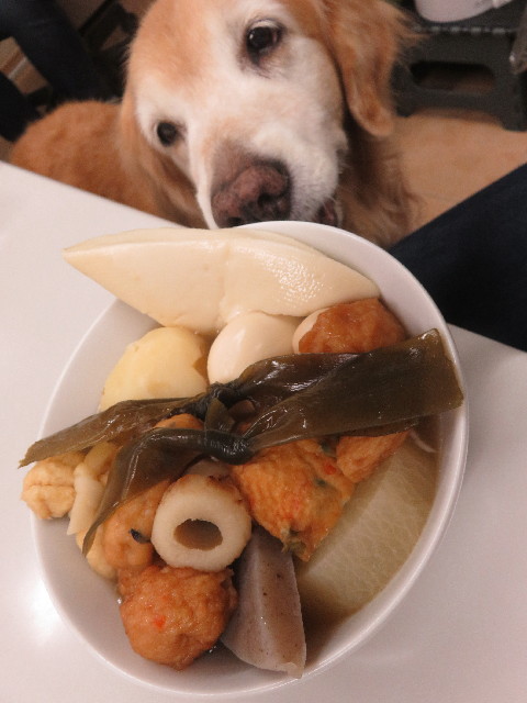 ファイル 5926-3.jpg