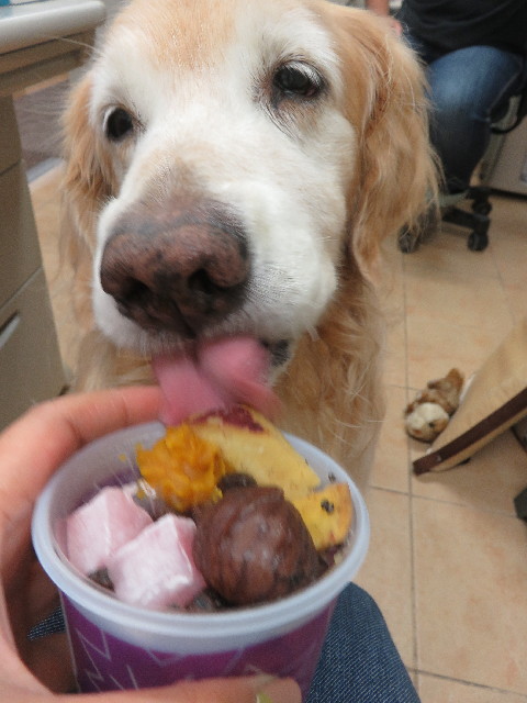 ファイル 5926-4.jpg