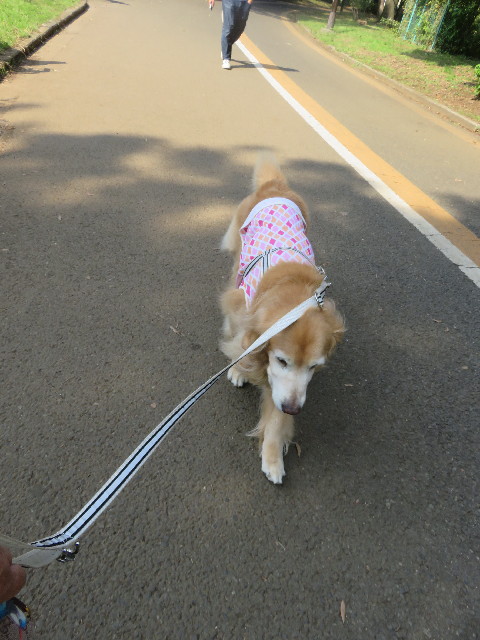 ファイル 5928-3.jpg