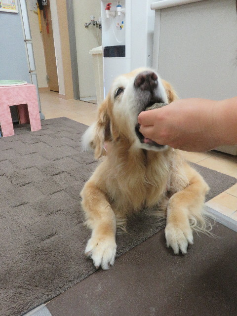 ファイル 5928-4.jpg