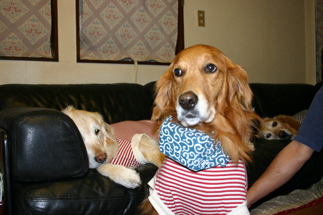 ファイル 593-1.jpg